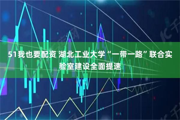 51我也要配资 湖北工业大学“一带一路”联合实验室建设全面提速