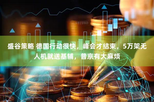 盛谷策略 德国行动很快，峰会才结束，5万架无人机就送基辅，普京有大麻烦