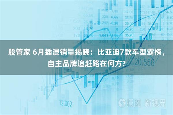股管家 6月插混销量揭晓：比亚迪7款车型霸榜，自主品牌追赶路在何方?