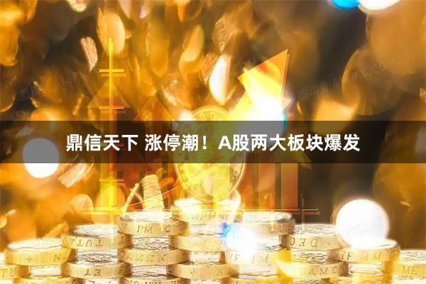 鼎信天下 涨停潮！A股两大板块爆发