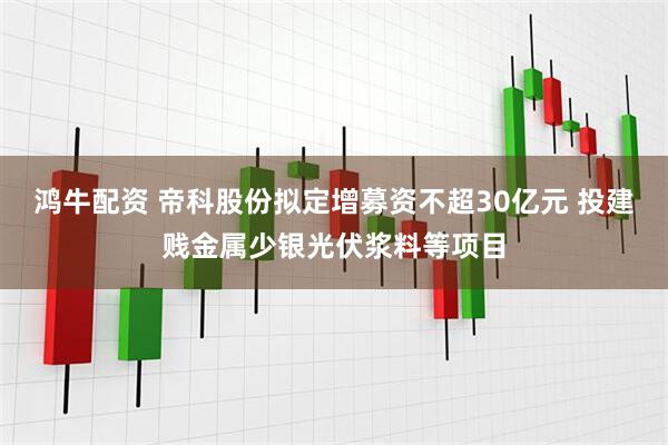 鸿牛配资 帝科股份拟定增募资不超30亿元 投建贱金属少银光伏浆料等项目
