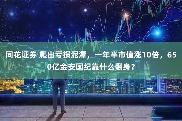同花证券 爬出亏损泥潭，一年半市值涨10倍，650亿金安国纪靠什么翻身？